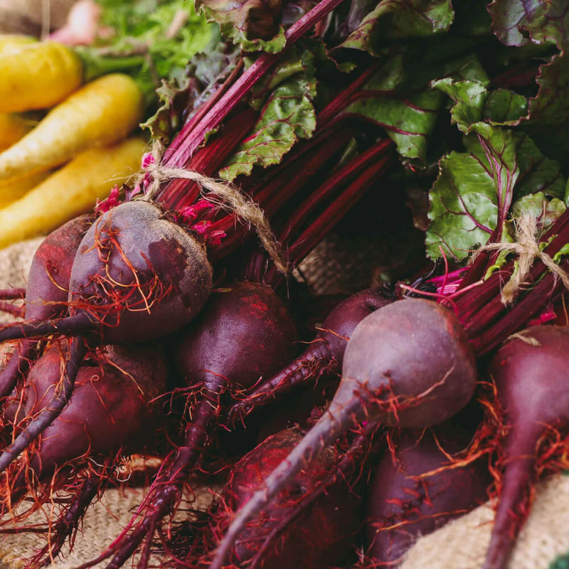 Red Beets